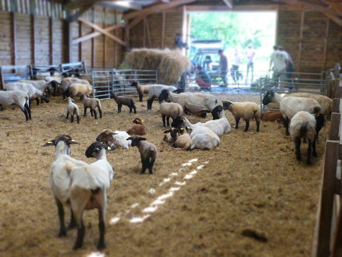 瓦讷La Ferme Du Vincin住宿加早餐旅馆 外观 照片